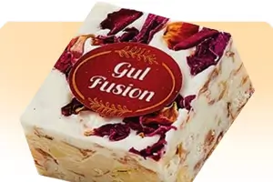 Gul Fusion Bit