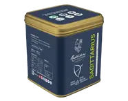 Radhikas Sagittarius Ginger Chai