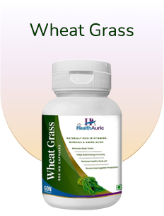 wheat grass