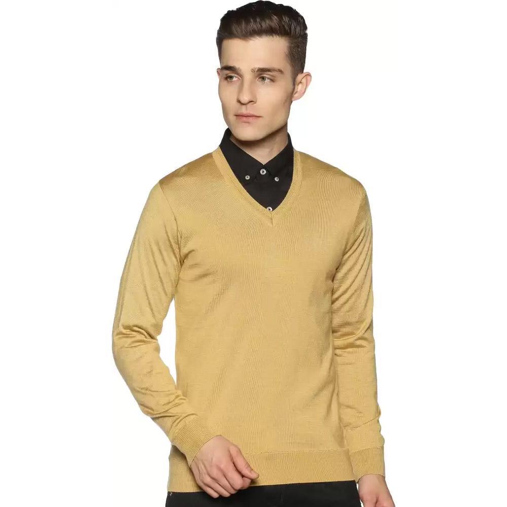 Companion Solid V Neck Casual Men Beige Sweater 