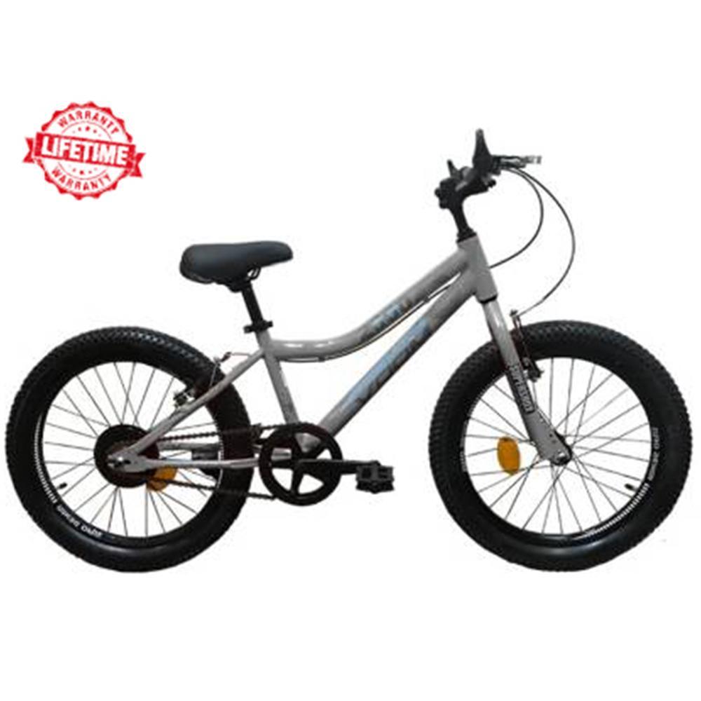 Voom Fun 2000 V Brakes Single Speed 20T Grey Cycle