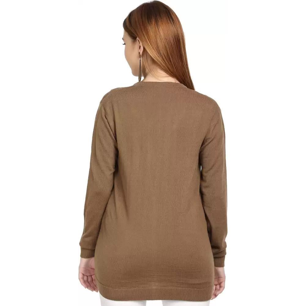Companion Solid V Neck Casual Women Brown Sweater