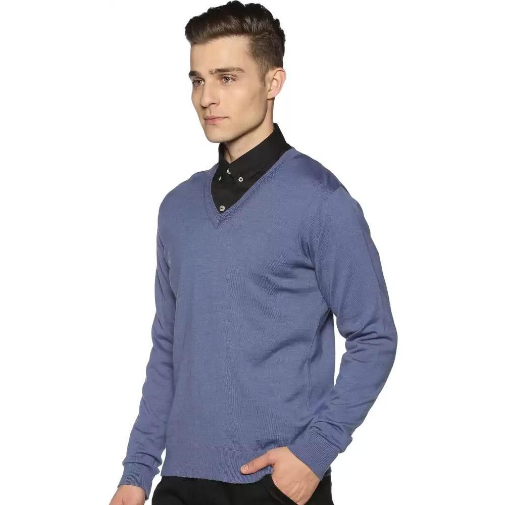 Companion Solid V Neck Casual Men Blue Sweater