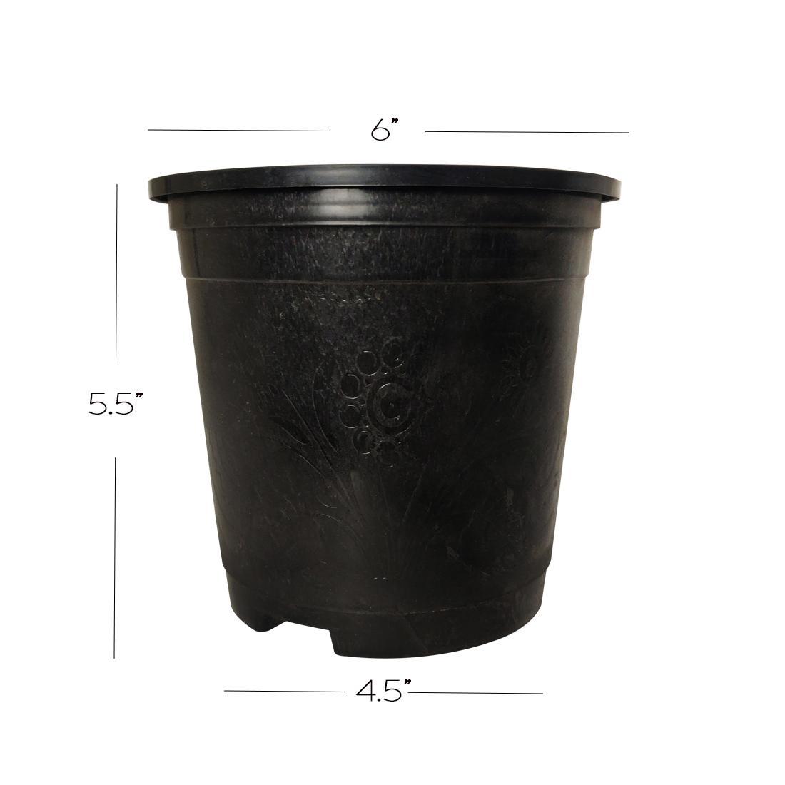 Garden 6-inch, 18cm Plastic Flower Plant Pots/Container Indoor, Set of 5 Planters with Drainage Holes