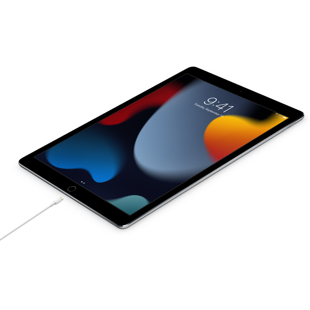 USB-C to Lightning Cable (2m)