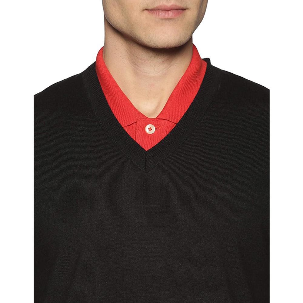 Companion Solid V Neck Casual Men Black Sweater