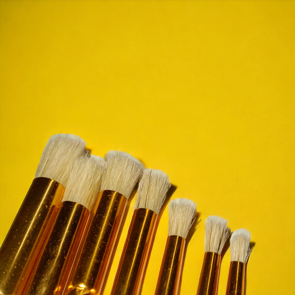 arora brushes