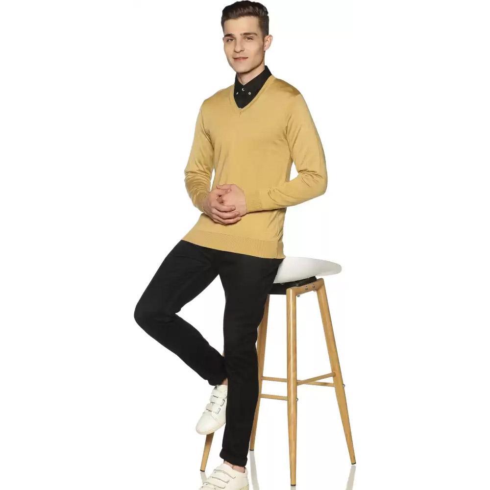 Companion Solid V Neck Casual Men Beige Sweater 