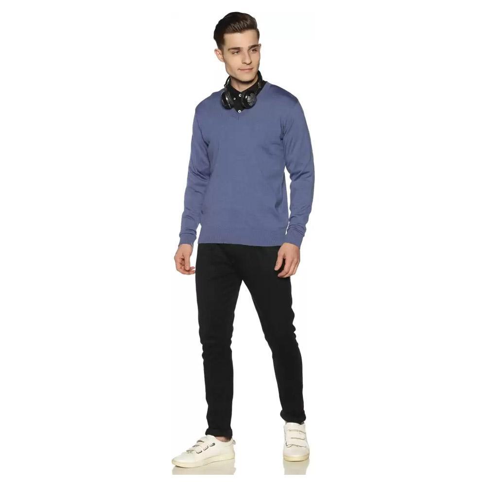 Companion Solid V Neck Casual Men Blue Sweater