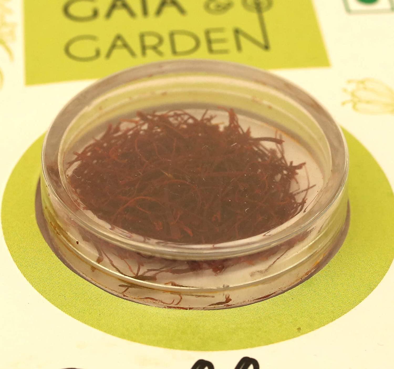 Gaia & Garden Pure and Natural Saffron (Kesar)