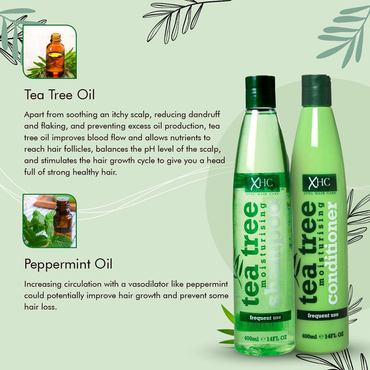 Tea Tree Anti Dandruff Shampoo & Conditioner Combo,400ml - For All Hair Types