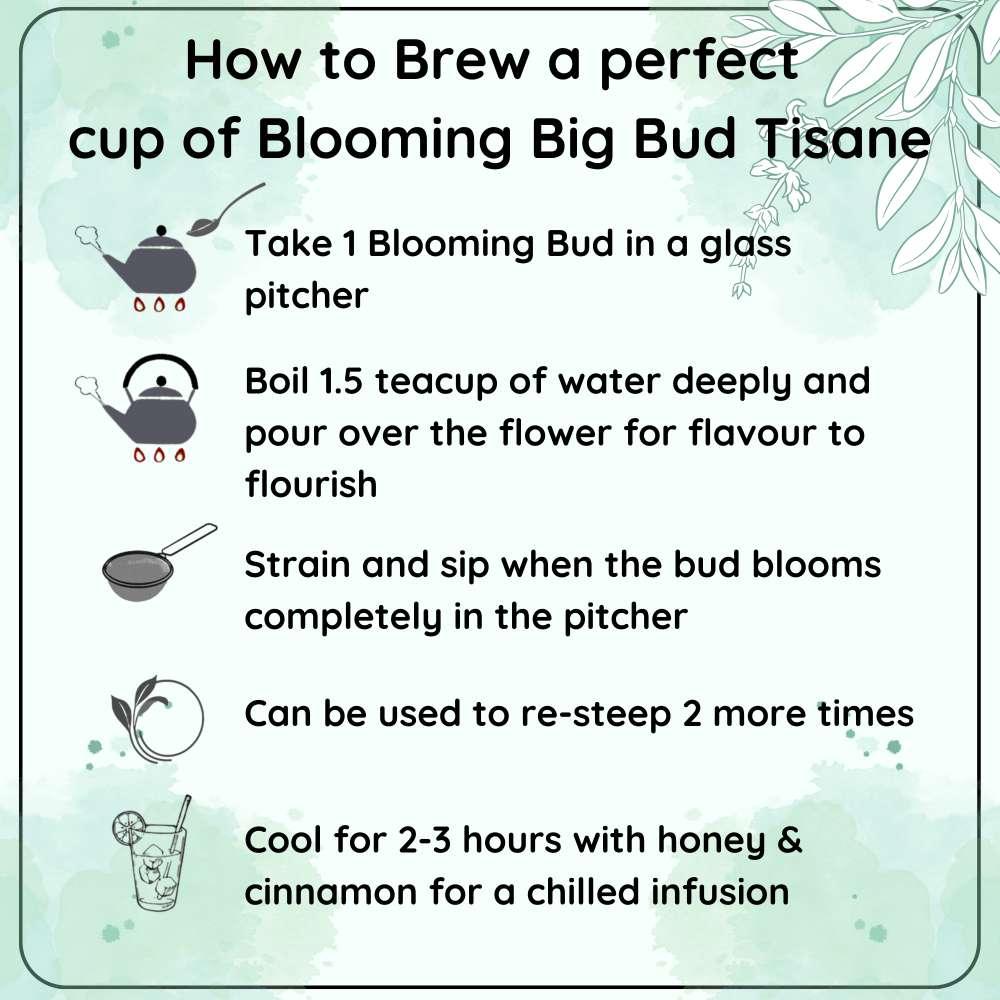 RADIANCE China Blooming Big Bud Tisane