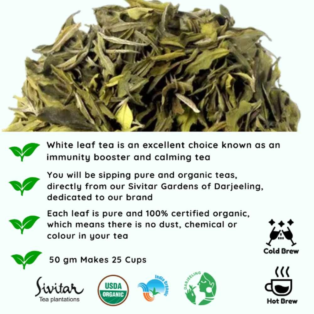 Pisces White Leaf