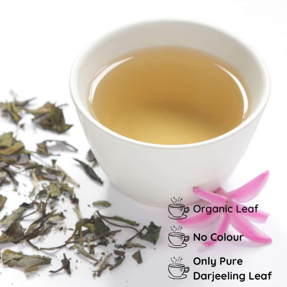 Pisces White Leaf