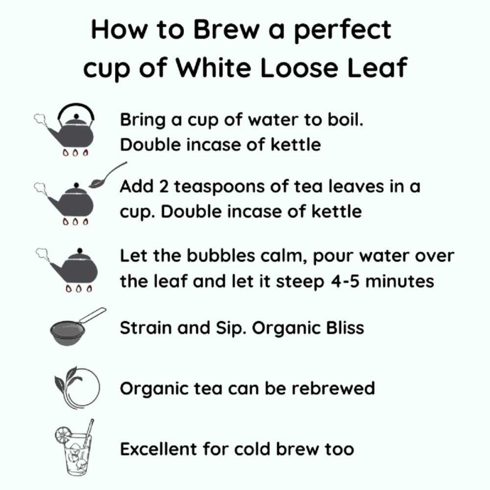 Pisces White Leaf