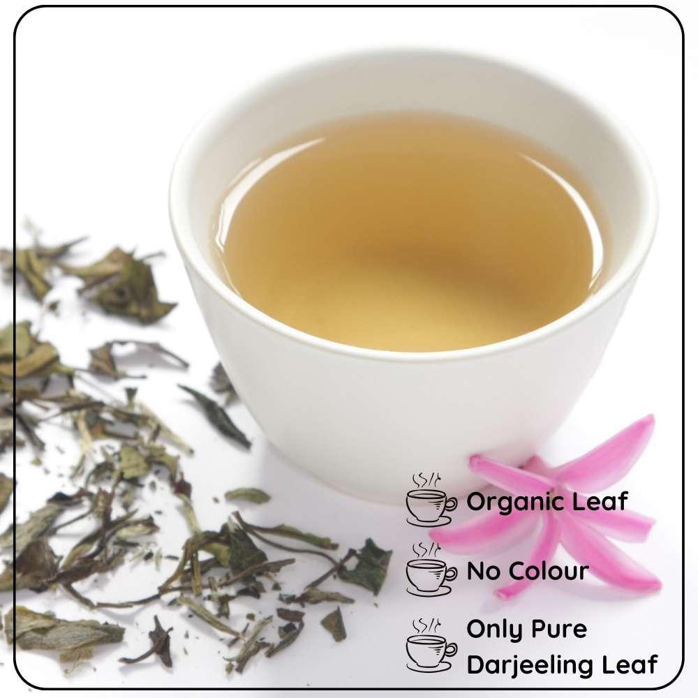 Calming White Leaf 